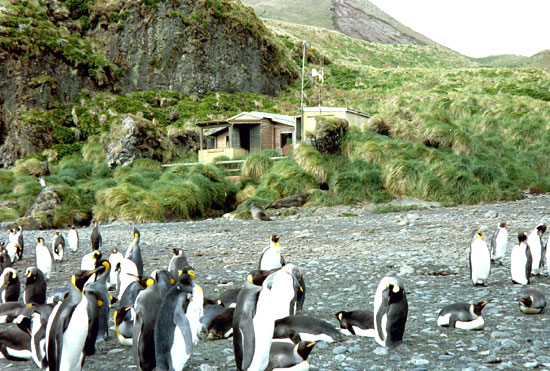 Example Image