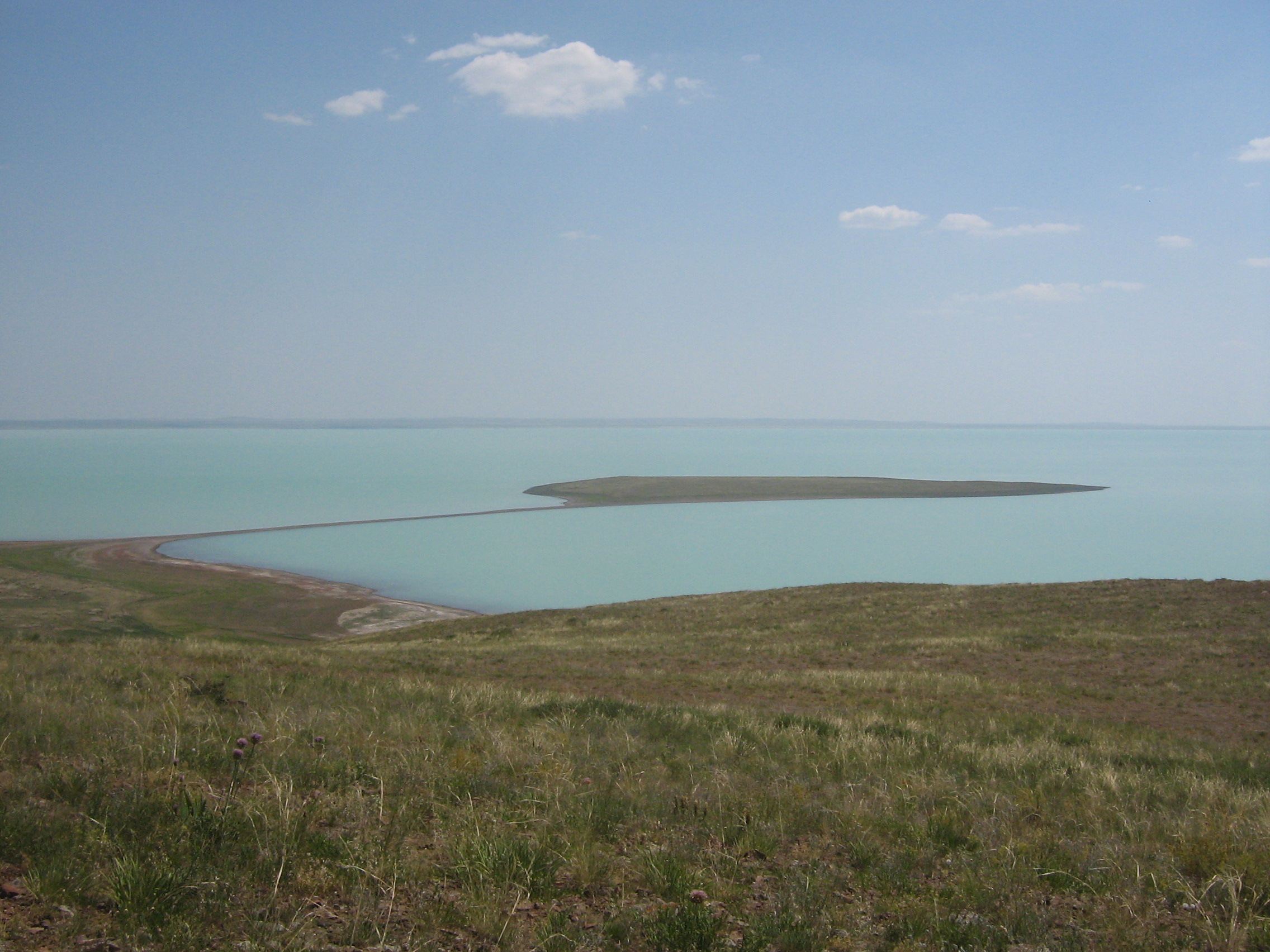 Example Image