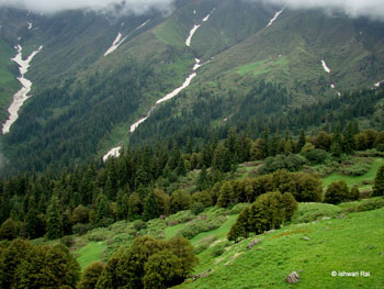 Example Image