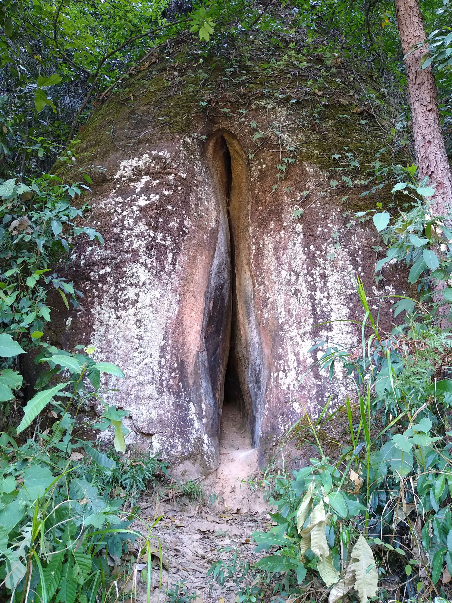 Example Image