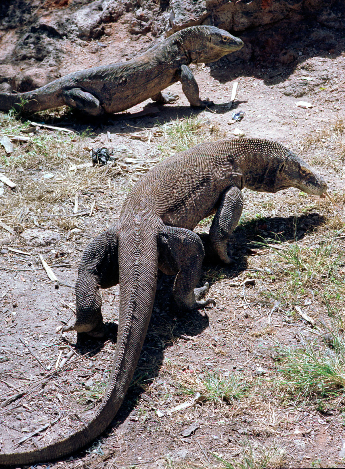 Example Image