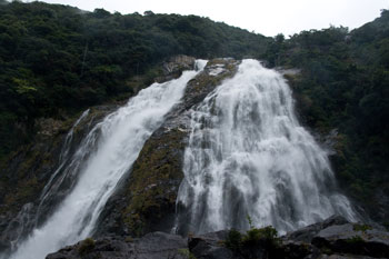 Example Image