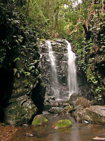 Example Image