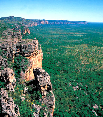 Example Image