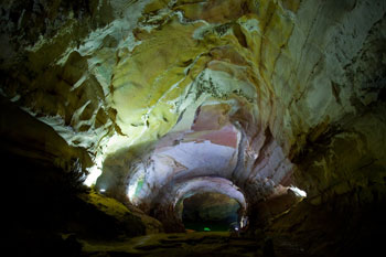 Example Image
