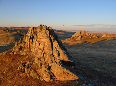 Example Image