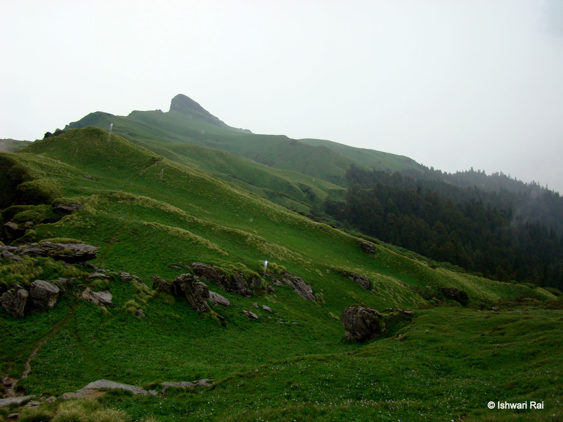 Example Image