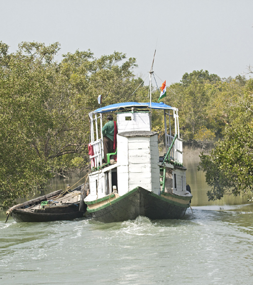 Example Image