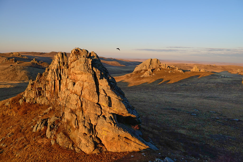 Example Image