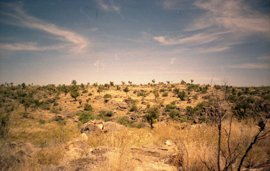 Example Image
