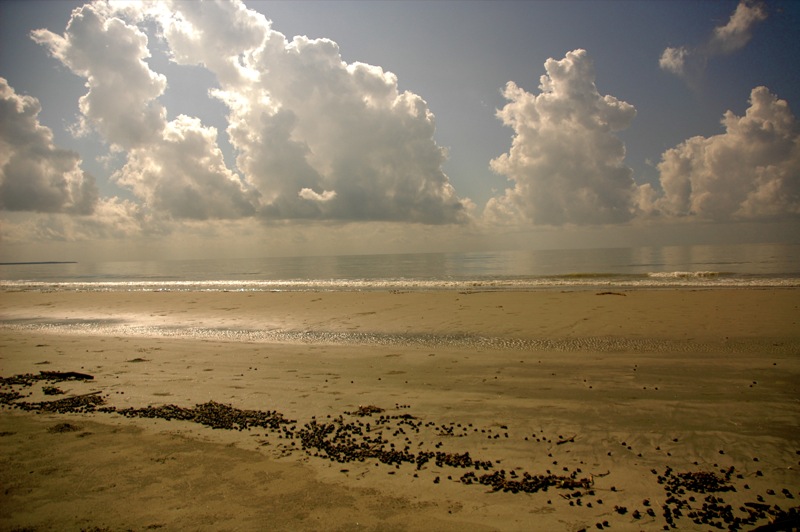 Example Image