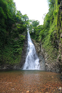 Example Image