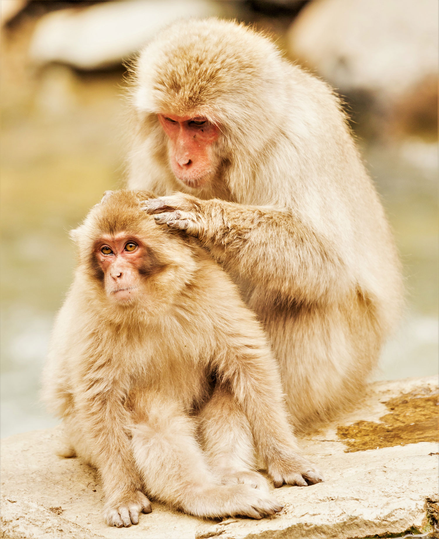 Example Image