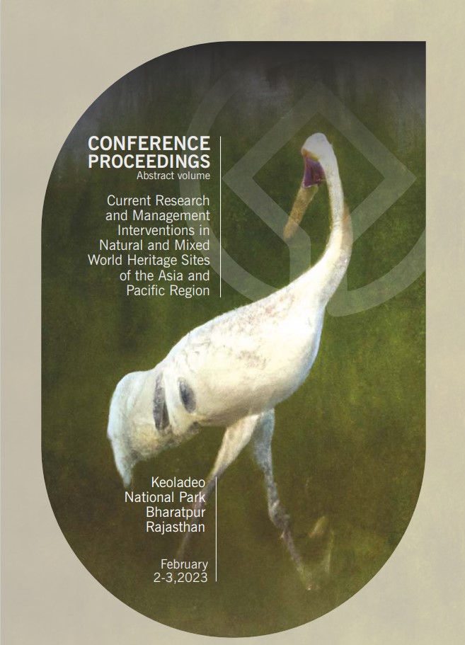 Publication 1