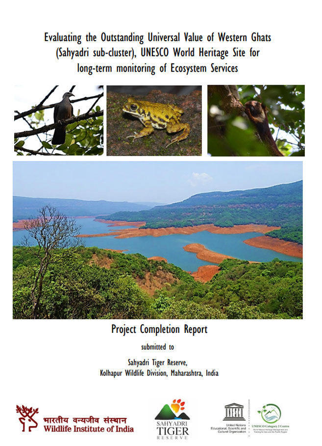 Publication 1