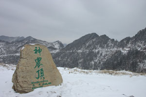 Example Image