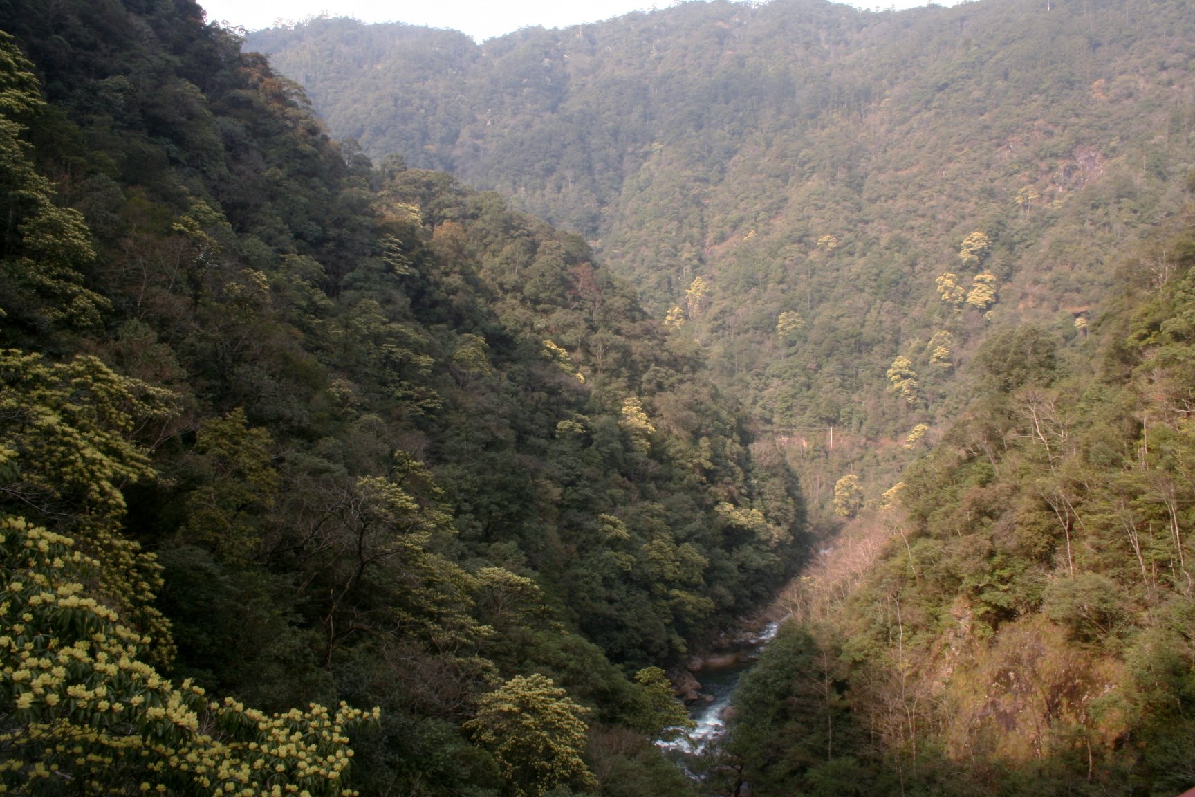 Example Image