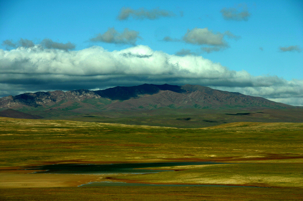Example Image