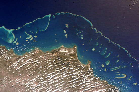 Example Image