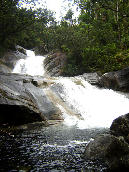 Example Image