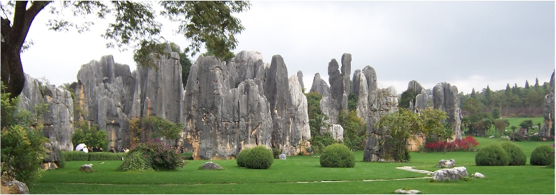 Example Image