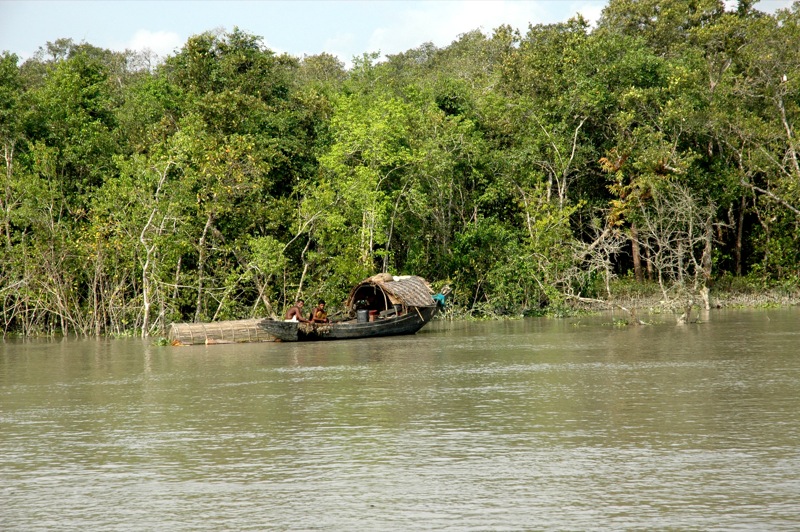 Example Image