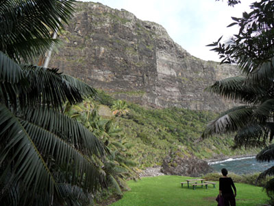 Example Image