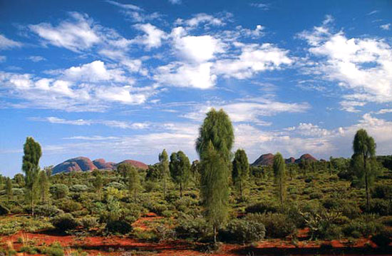 Example Image