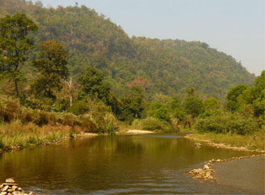 Example Image