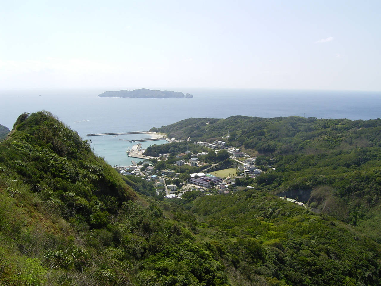 Example Image