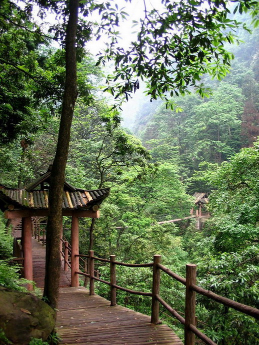 Example Image