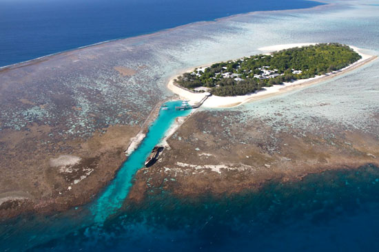 Example Image