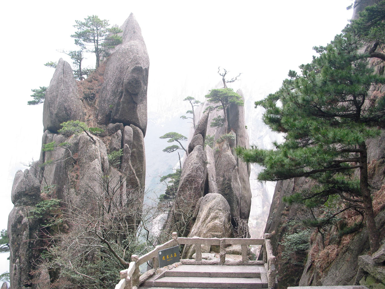 Example Image