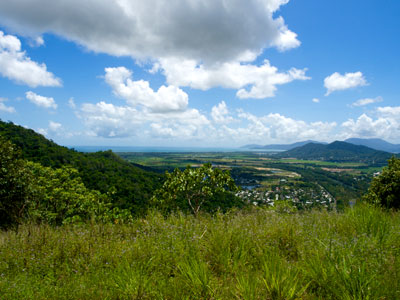 Example Image