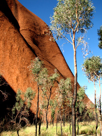 Example Image