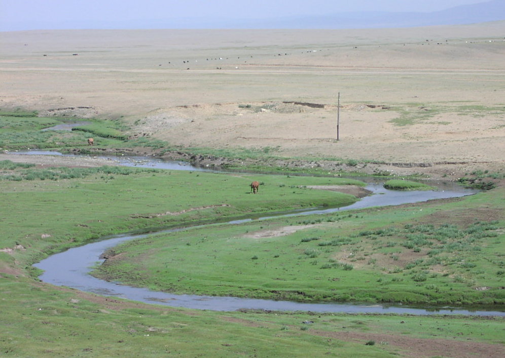 Example Image