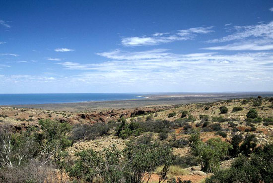 Example Image