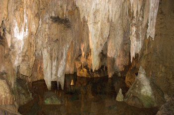 Example Image