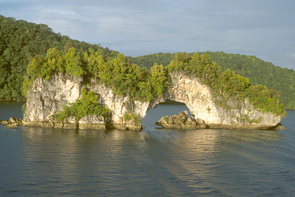 Example Image