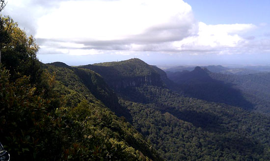 Example Image