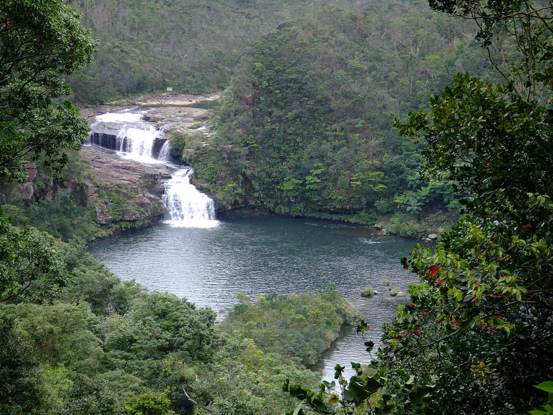 Example Image