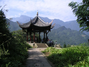Example Image
