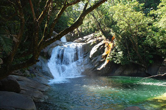 Example Image