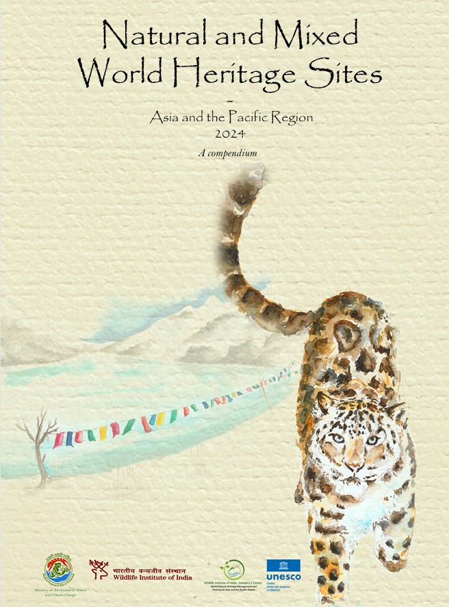 annual report