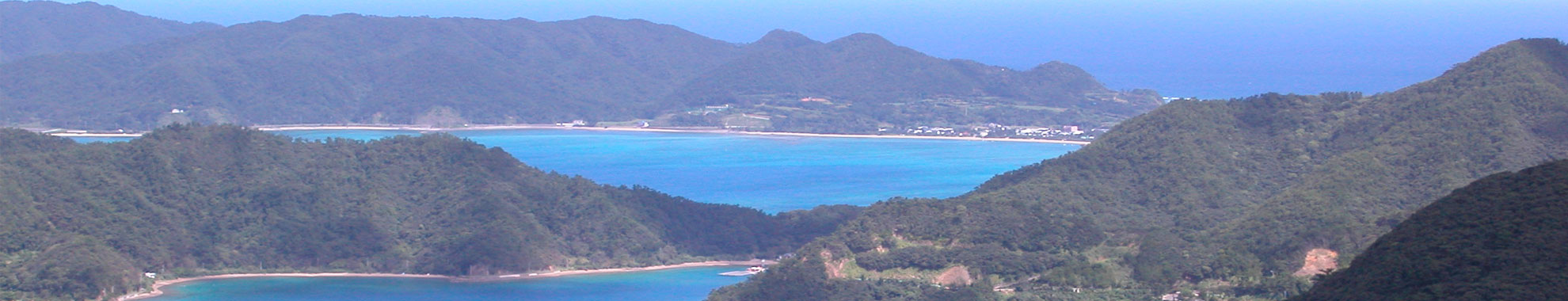Amami-Oshima Island, Tokunoshima Island, Northern part of Okinawa Island,<br/><br/> and Iriomote Island