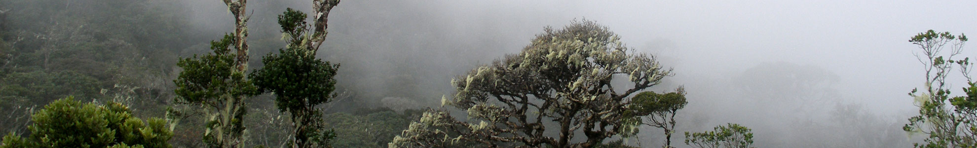 Central Highlands of Sri Lanka