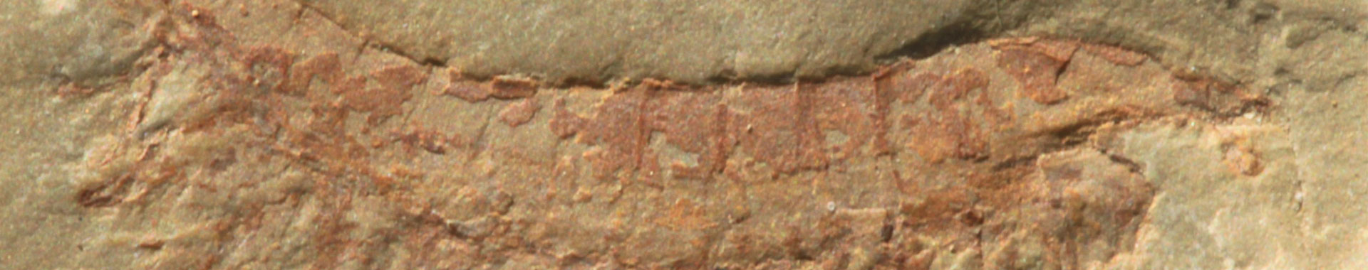 Chengjiang Fossil Site