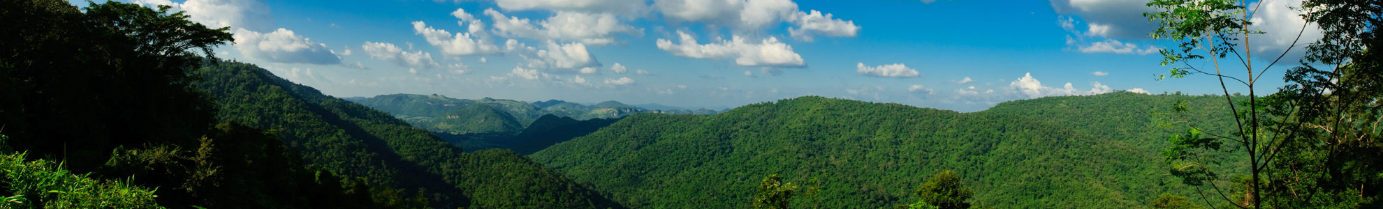 Dong Phayayen-Khao Yai Forest Complex