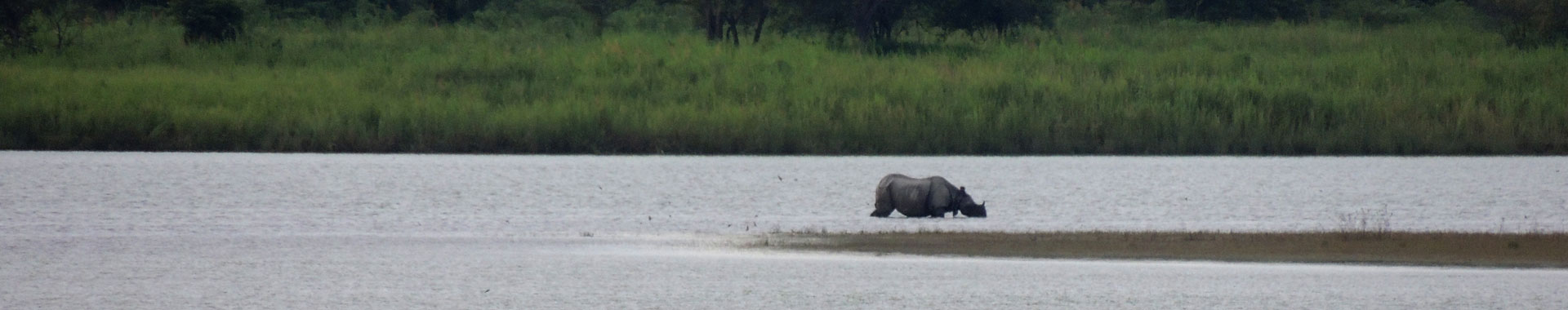 Kaziranga National Park