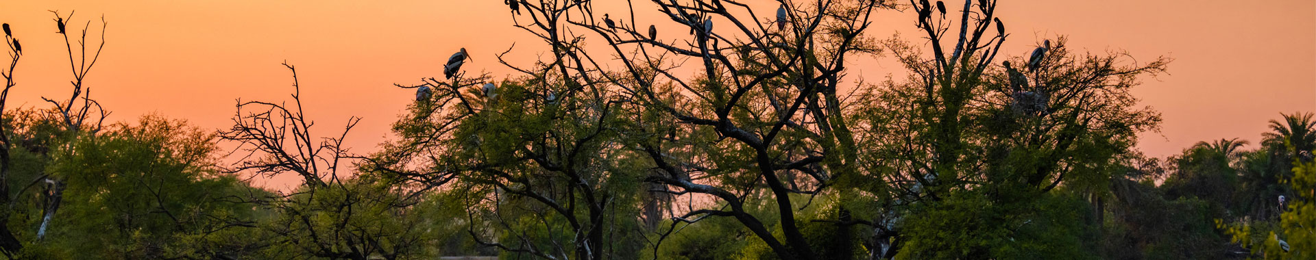 Keoladeo National Park